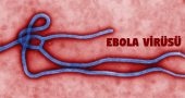 Ebola Virüsü Belirtileri